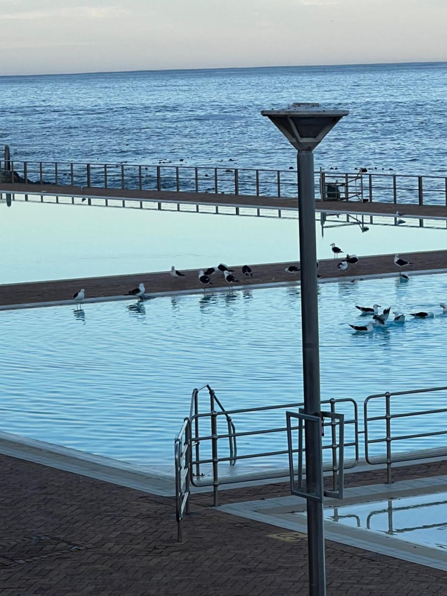 شقة Sea Point Kingsgate No 10 كيب تاون المظهر الخارجي الصورة